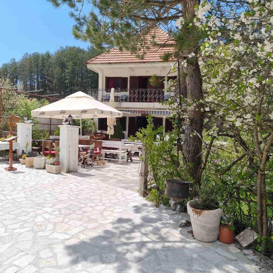 Porto Njegusi A2 Apartment Cetinje Exterior photo